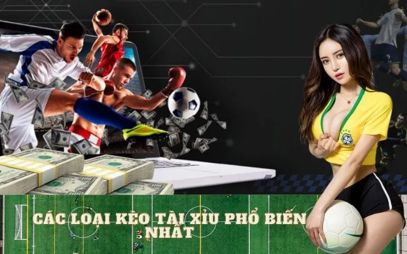 Các Loại Kèo Tài Xỉu Phổ Biến Nhất