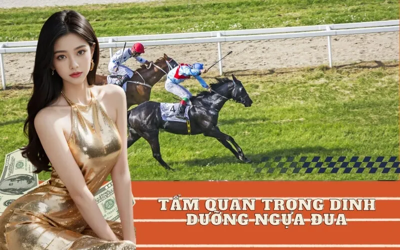 Tầm Quan Trọng Dinh Dưỡng Ngựa Đua